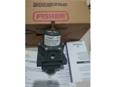 FISHER FS-67CFR-600 Filter pressure relief valve